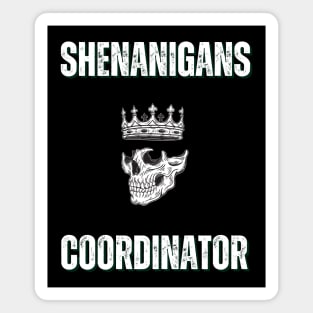 Shenanigans Coordinator - Skull Magnet